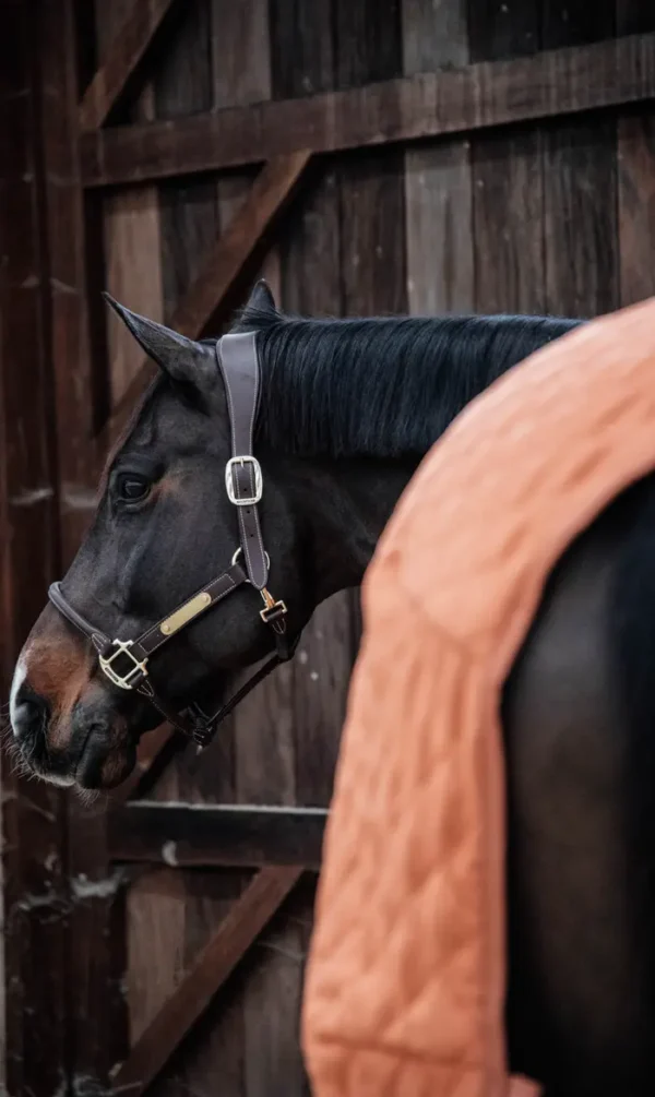 Kentucky Show Rug 160G - immagine 29