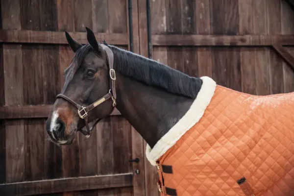 Kentucky Show Rug 160G - immagine 28