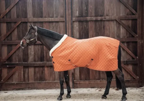 Kentucky Show Rug 160G - immagine 26