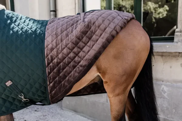 Kentucky Show Rug 160G - immagine 19