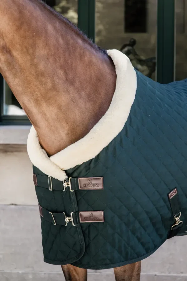 Kentucky Show Rug 160G - immagine 17