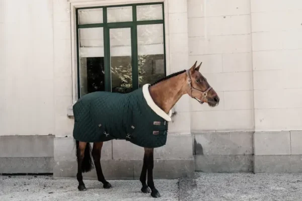 Kentucky Show Rug 160G - immagine 15