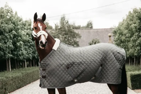 Kentucky Stable Rug 400g - immagine 9