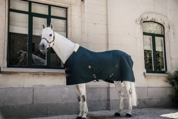 Kentucky Stable Rug 400g - immagine 4