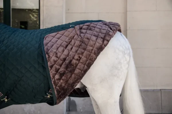 Kentucky Stable Rug 400g - immagine 8