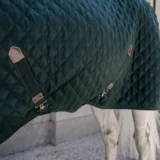 Kentucky Stable Rug 400g - immagine 7