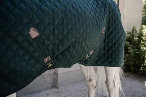 Kentucky Stable Rug 400g - immagine 7