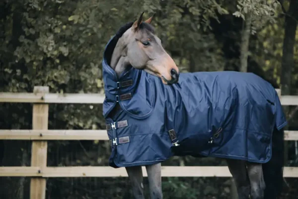 Coperta Turnout 300g - immagine 3