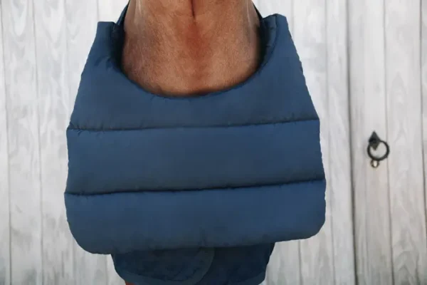 BIB Cavallo Estivo