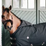 BIB Cavallo Estivo - immagine 5
