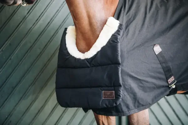 BIB Cavallo Invernale - immagine 5