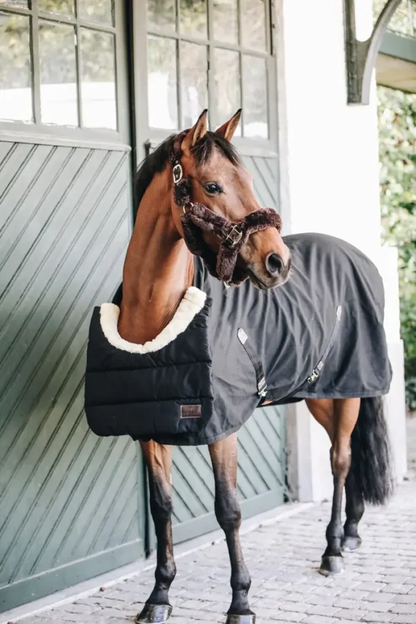 BIB Cavallo Invernale - immagine 7