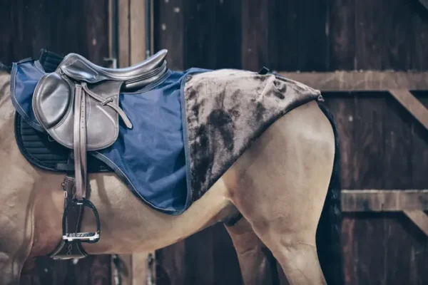 Coperta da Equitazione 4 Stagioni - immagine 3