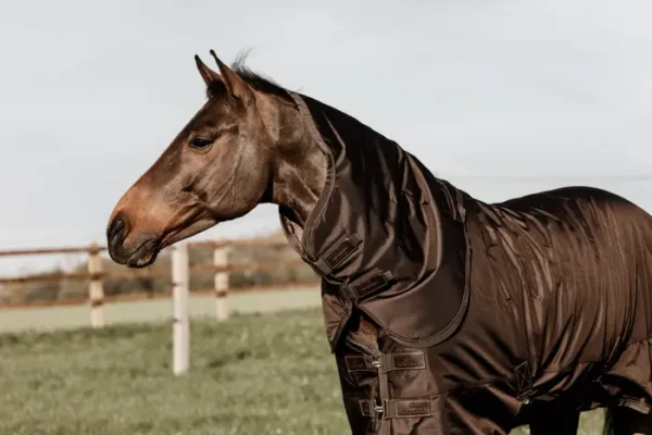 Coperta Turnout 160g - immagine 5