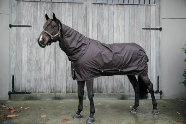 Coperta Turnout 160g - immagine 8