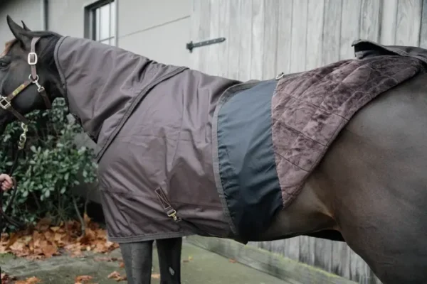 Coperta Turnout 160g - immagine 11
