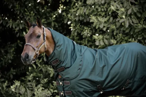 Coperta Turnout 160g - immagine 15