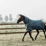 Coperta Turnout 160g - immagine 18