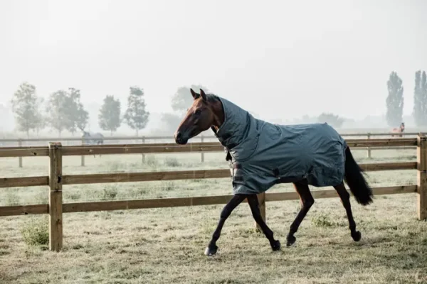 Coperta Turnout 160g - immagine 18