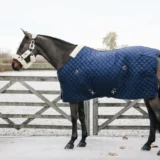 Kentucky Stable Rug 200g - immagine 4