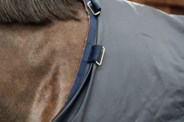 Coperta Turnout Hurricane 150g - immagine 6