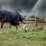 Coperta Turnout Hurricane 0g