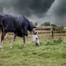 Coperta Turnout Hurricane 0g