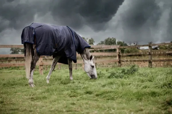 Coperta Turnout Hurricane 150g