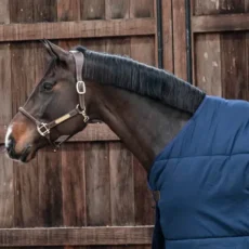 Kentucky Under Rug Classic 200g