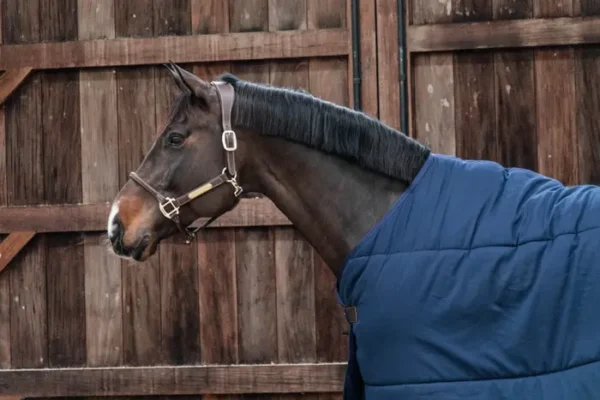Kentucky Under Rug Classic 200g