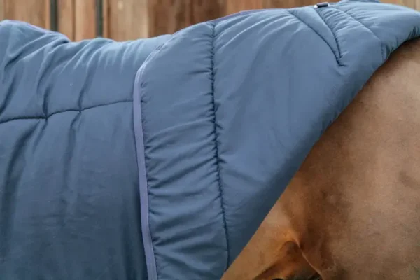 Kentucky Under Rug Classic 200g - immagine 7
