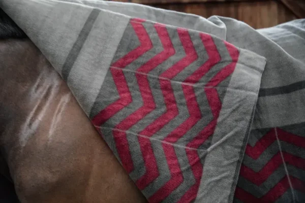 Coperta Quadrata a spina di pesce in Pile - immagine 4