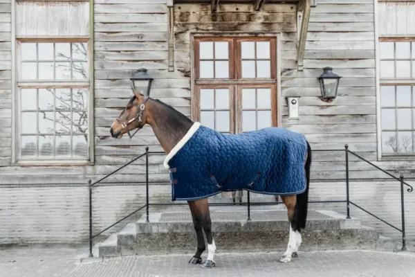 Kentucky Show Rug Velvet 160G - immagine 25