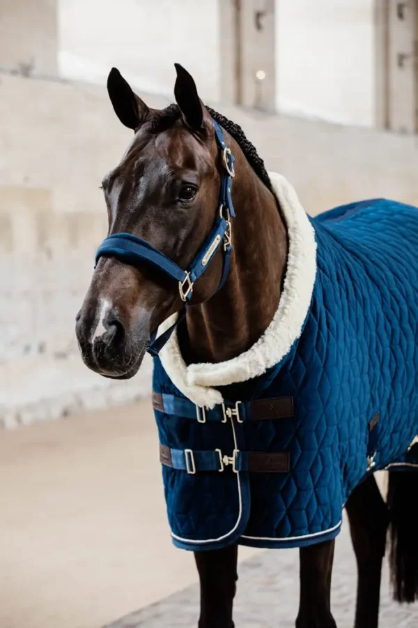 Kentucky Show Rug Velvet 160G - immagine 23
