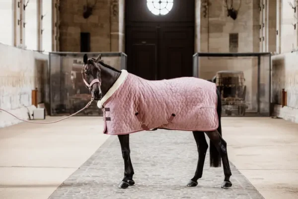Kentucky Show Rug Velvet 160G - immagine 33