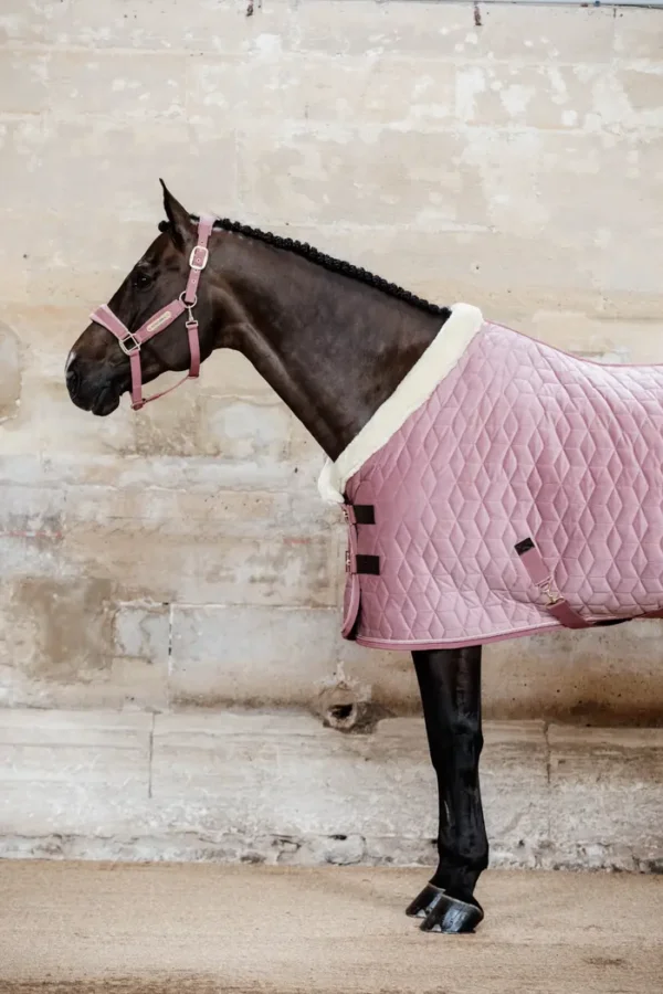 Kentucky Show Rug Velvet 160G - immagine 30