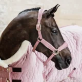 Kentucky Show Rug Velvet 160G - immagine 32