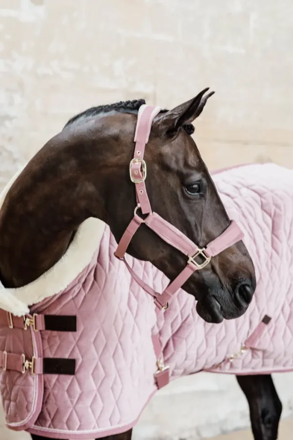 Kentucky Show Rug Velvet 160G - immagine 32