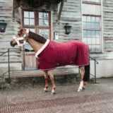 Kentucky Show Rug Velvet 160G