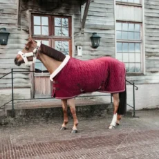 Kentucky Show Rug Velvet 160G