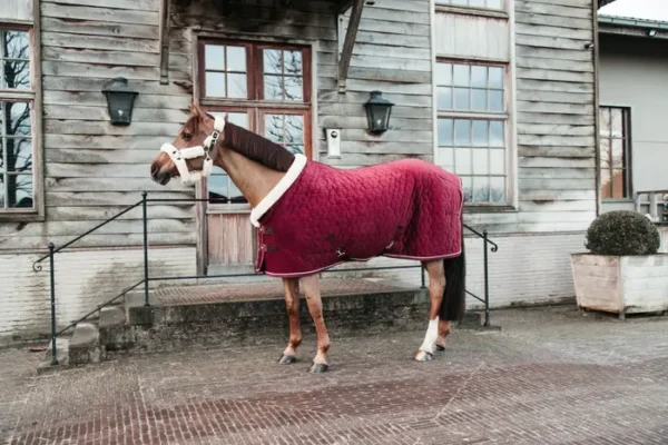 Kentucky Show Rug Velvet 160G