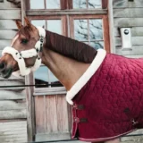 Kentucky Show Rug Velvet 160G - immagine 3