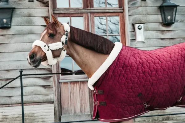 Kentucky Show Rug Velvet 160G - immagine 3
