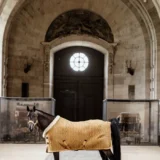 Kentucky Show Rug Velvet 160G - immagine 17