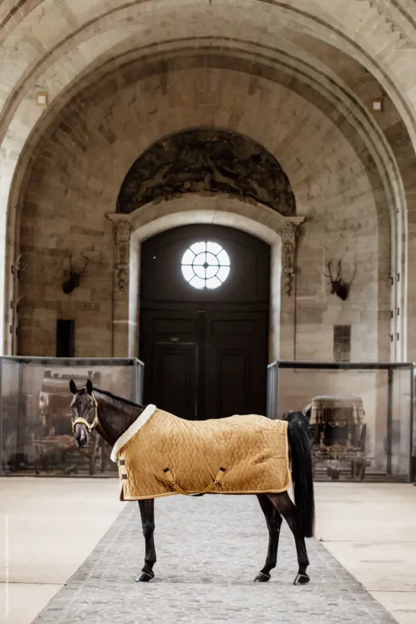 Kentucky Show Rug Velvet 160G - immagine 17