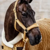 Kentucky Show Rug Velvet 160G - immagine 19