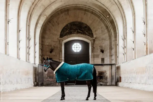 Kentucky Show Rug Velvet 160G - immagine 10