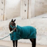 Kentucky Show Rug Velvet 160G - immagine 7