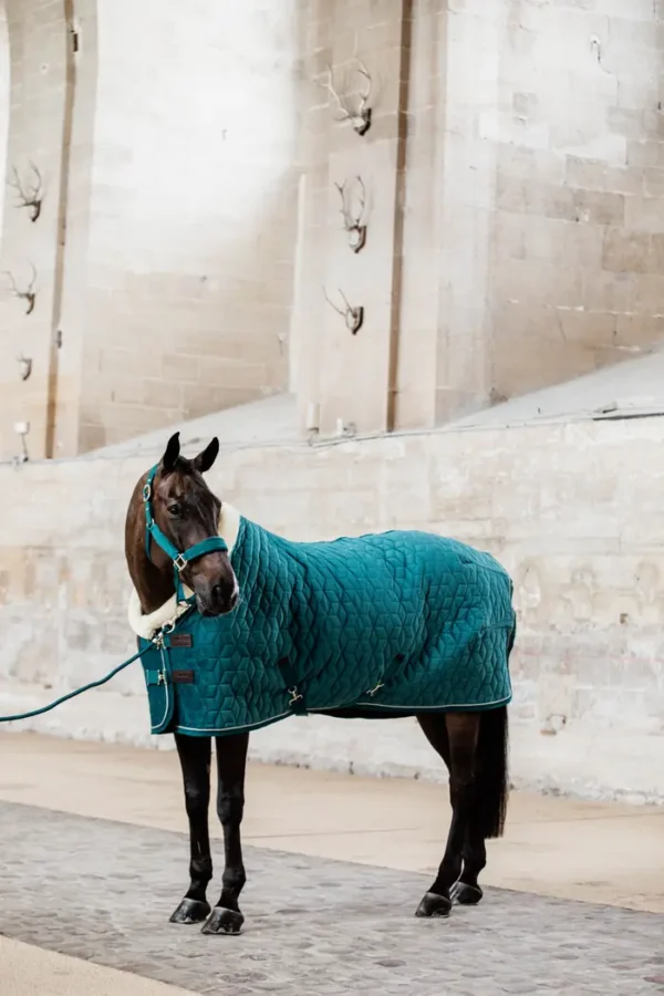 Kentucky Show Rug Velvet 160G - immagine 7