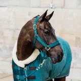 Kentucky Show Rug Velvet 160G - immagine 9